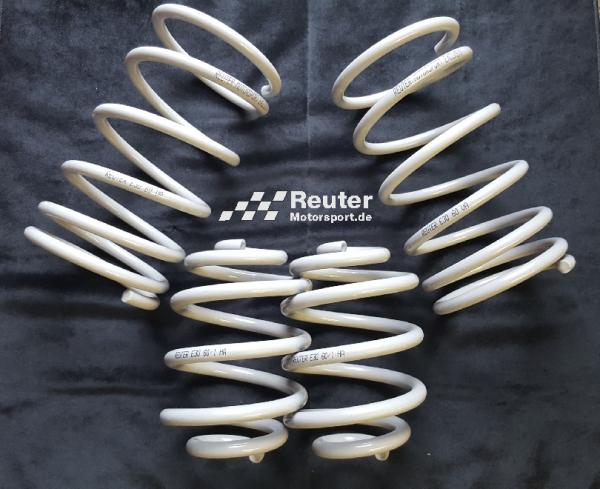 4-Zyl.B  12.04-  VA30mm HA20mm E92 REUTER Sportfedern